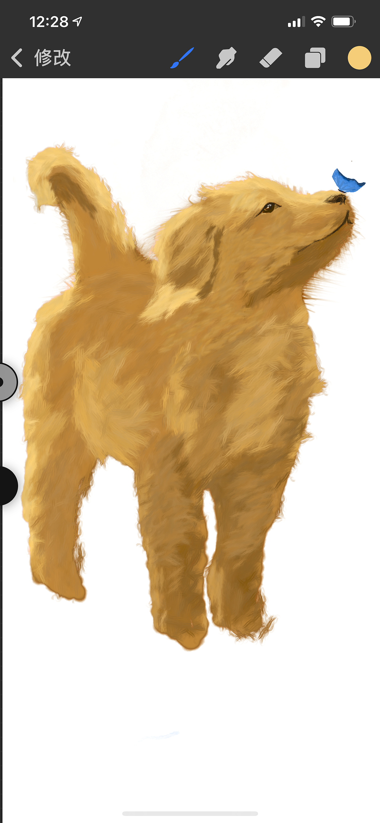 金毛|插画|商业插画|z98063302_原创作品-站酷zcool