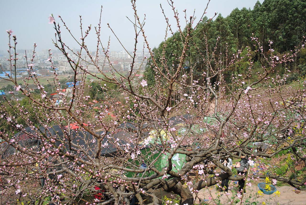 那些很美的地方不属于我（图ZNTMyMDc5Mg==） - 风光摄影 - 站酷设计师欧阳紫嫣原创素材 - 站酷ZCOOL