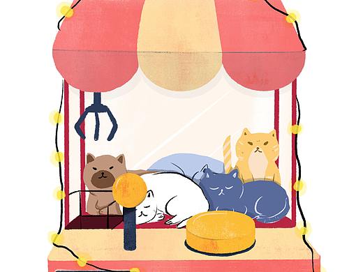 论如何获得一只猫