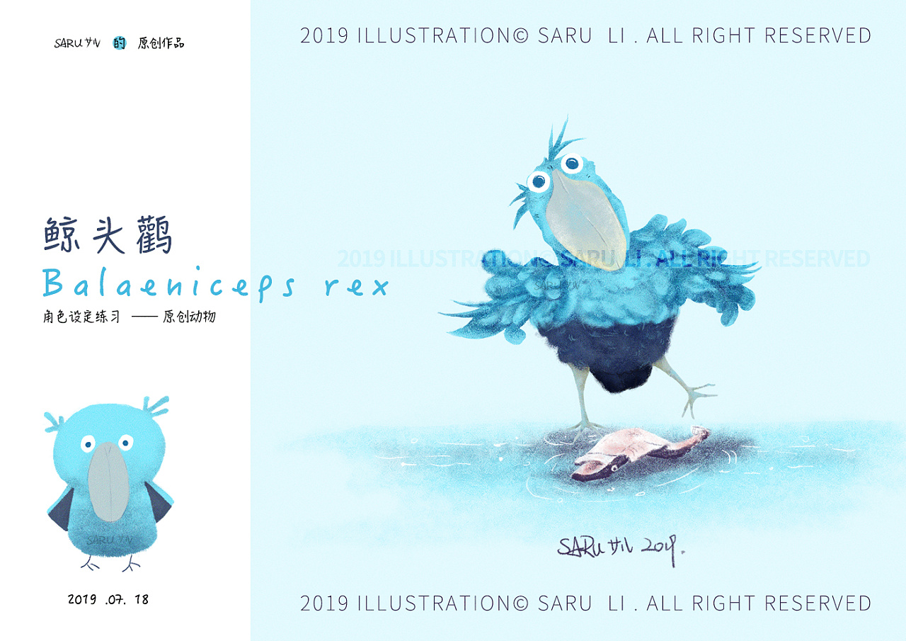 鲸头鹳 balaeniceps rex