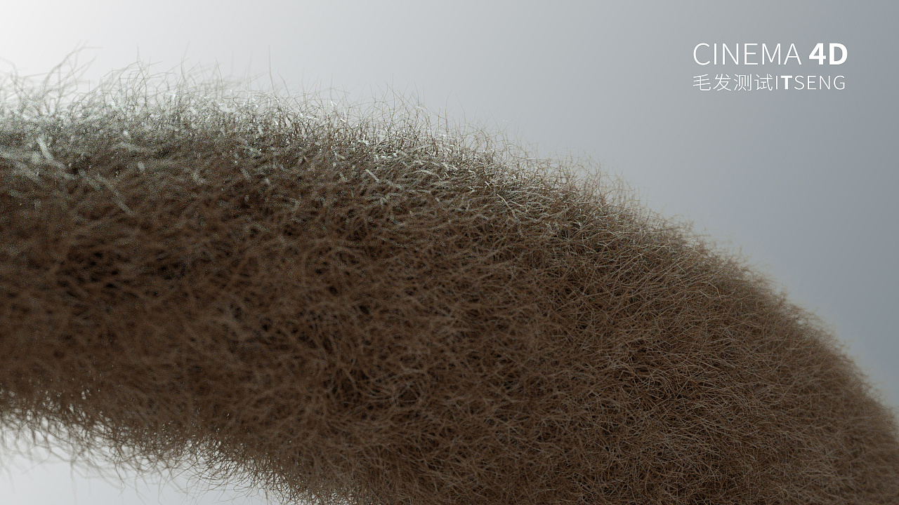 c4d毛发渲染测试