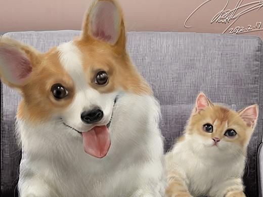 猫与狗