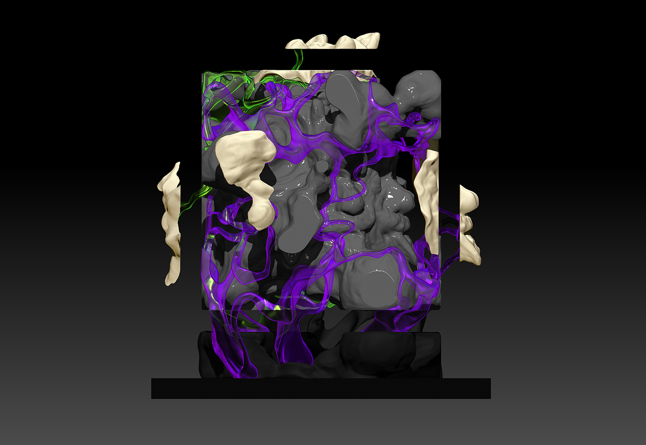 时间的“礼物”《愛因斯坦|柔軟的時間》实验艺术玩具