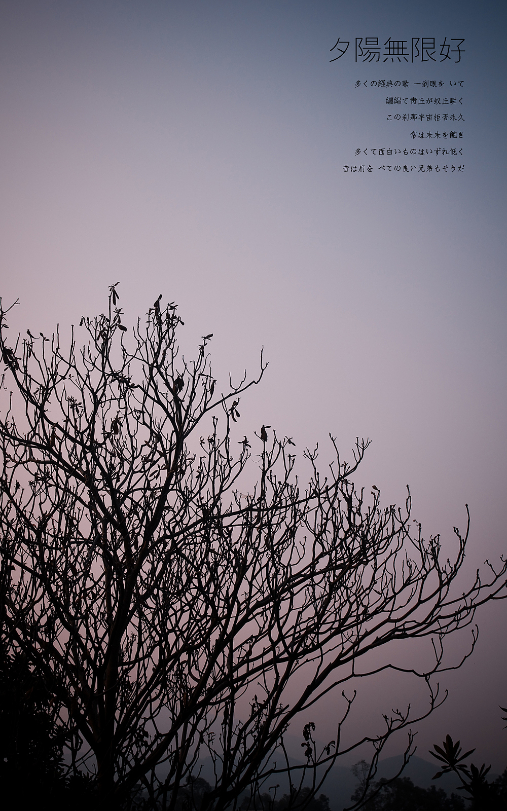 日出，日落，星空，夜。（下集）（图ZMTE3OTMwOTI=） - 风光摄影 - 站酷设计师michaelpst原创素材 - 站酷ZCOOL