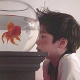 wqy940623的头像