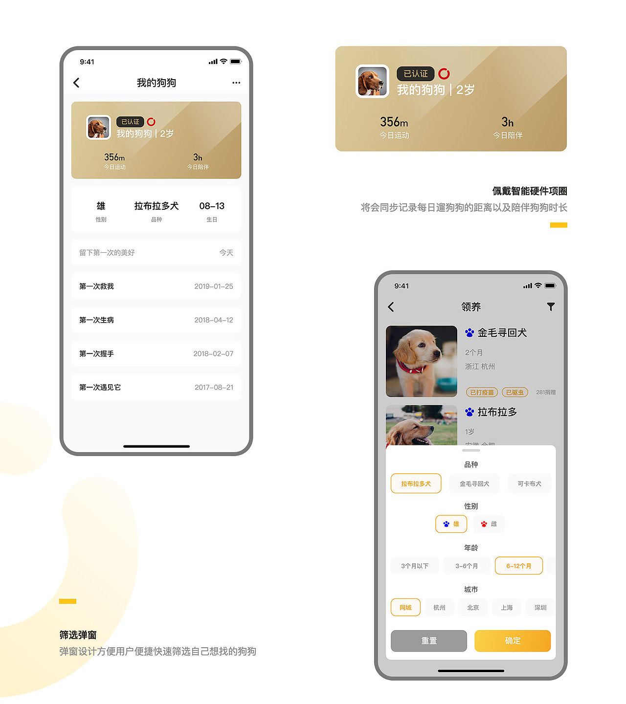 犬加 —— 它们缺个家,家里缺个它