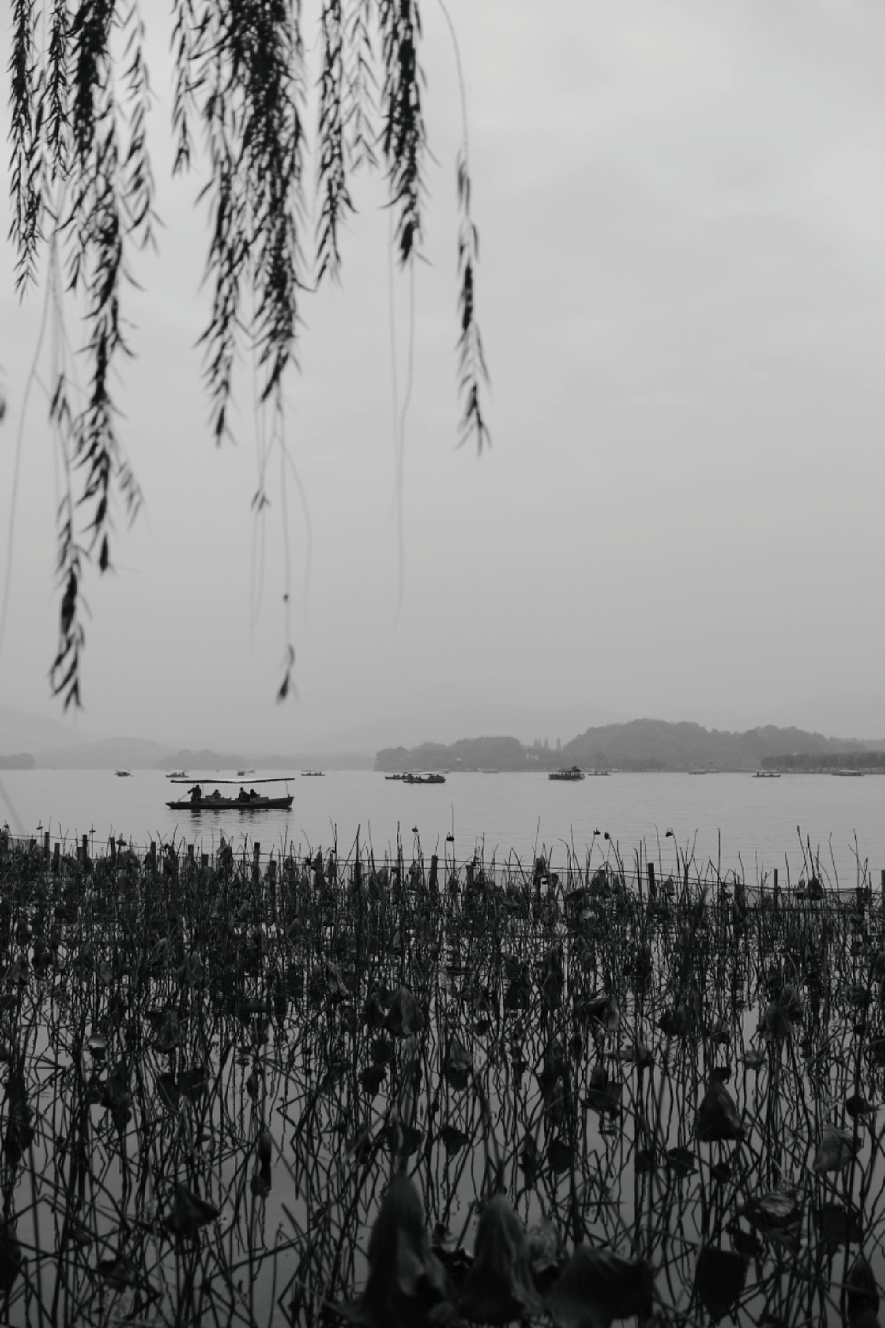 西湖黑白摄影