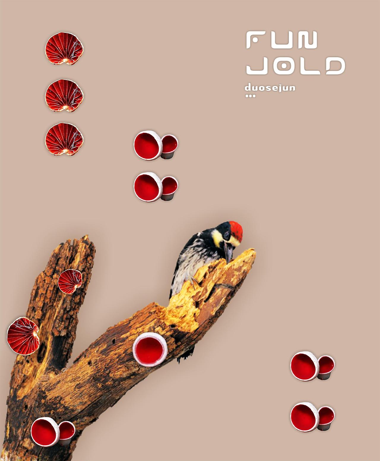 多色菌（图ZNTk5MjcxMTI=） - 其他平面 - 站酷设计师停道酬勤原创素材 - 站酷ZCOOL