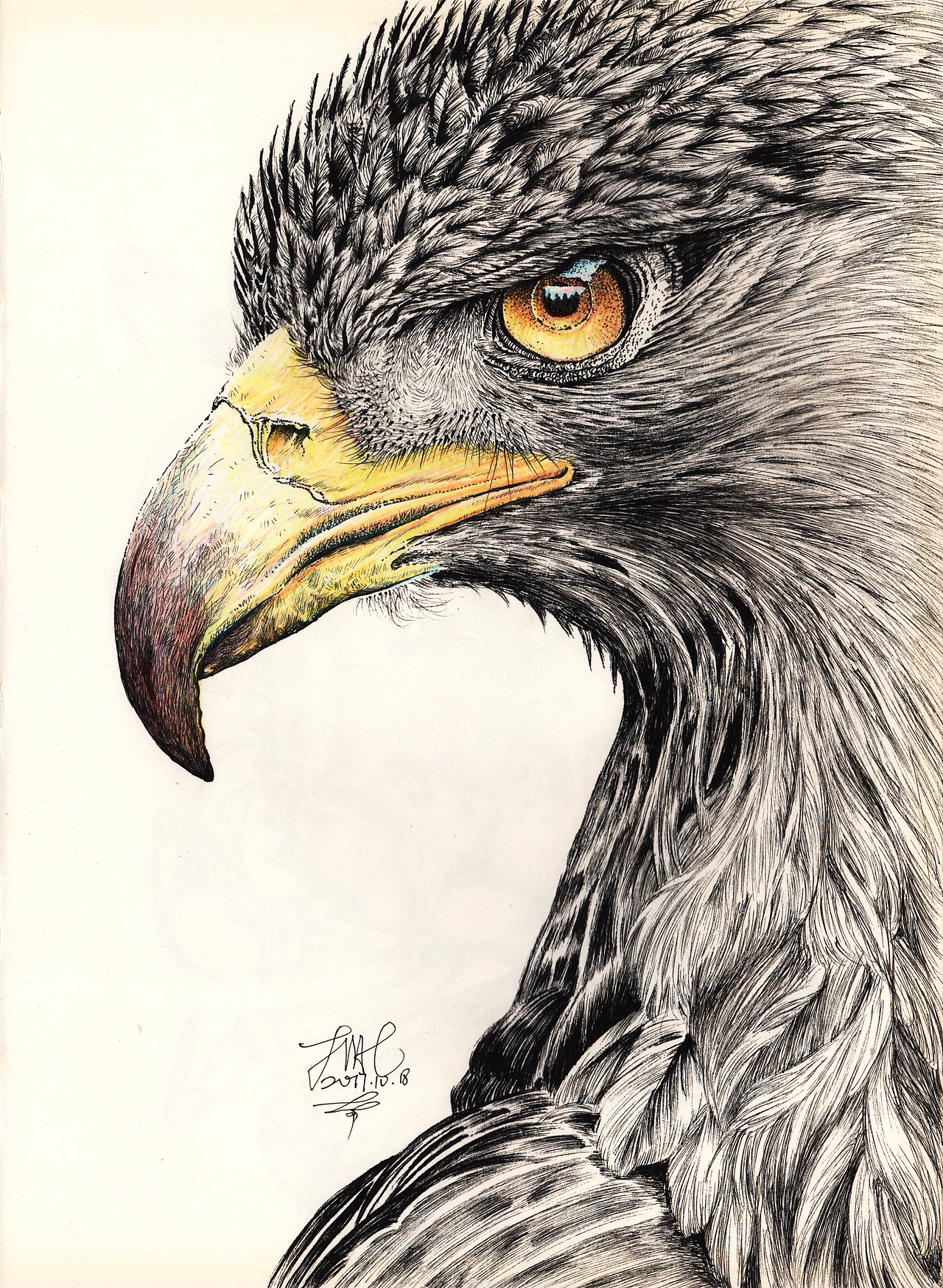 作品信息创作时间2018/04/14收录收藏夹查看更多手绘0关注添加表情