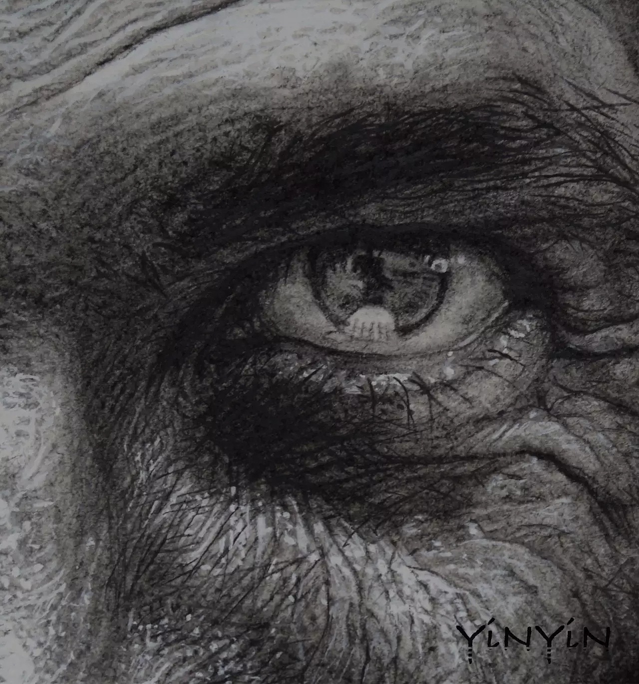 yinyin铅笔素描流浪者