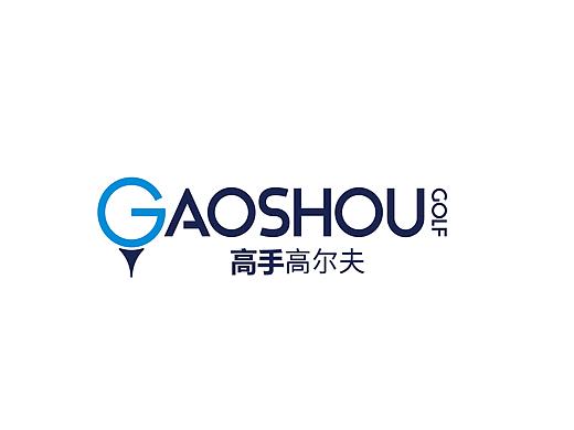 高手高尔夫vi