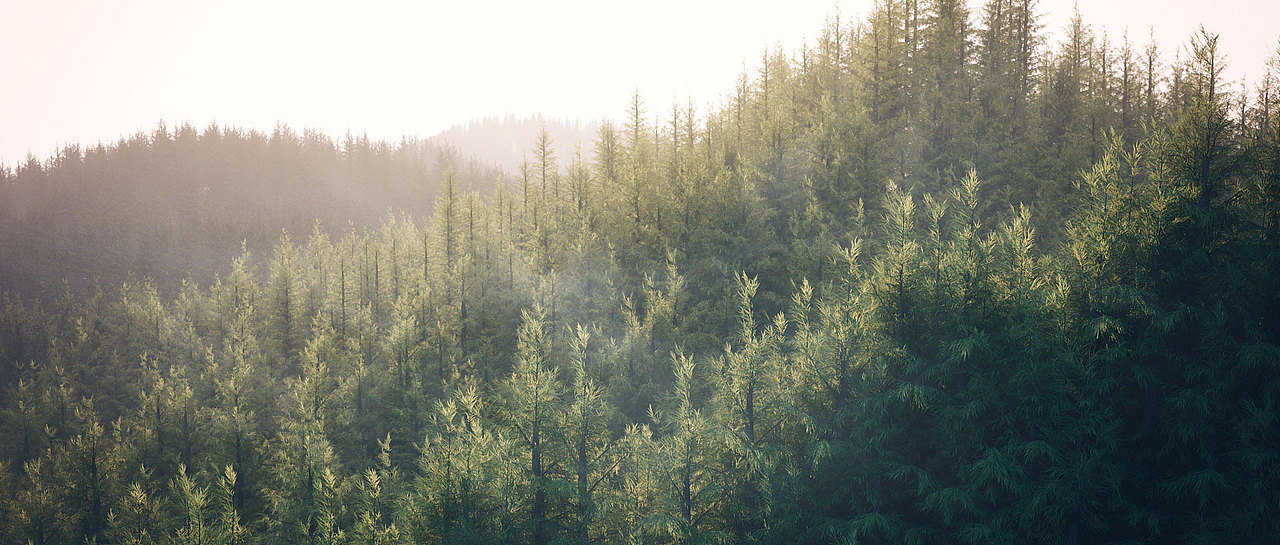 自然场景渲染练习