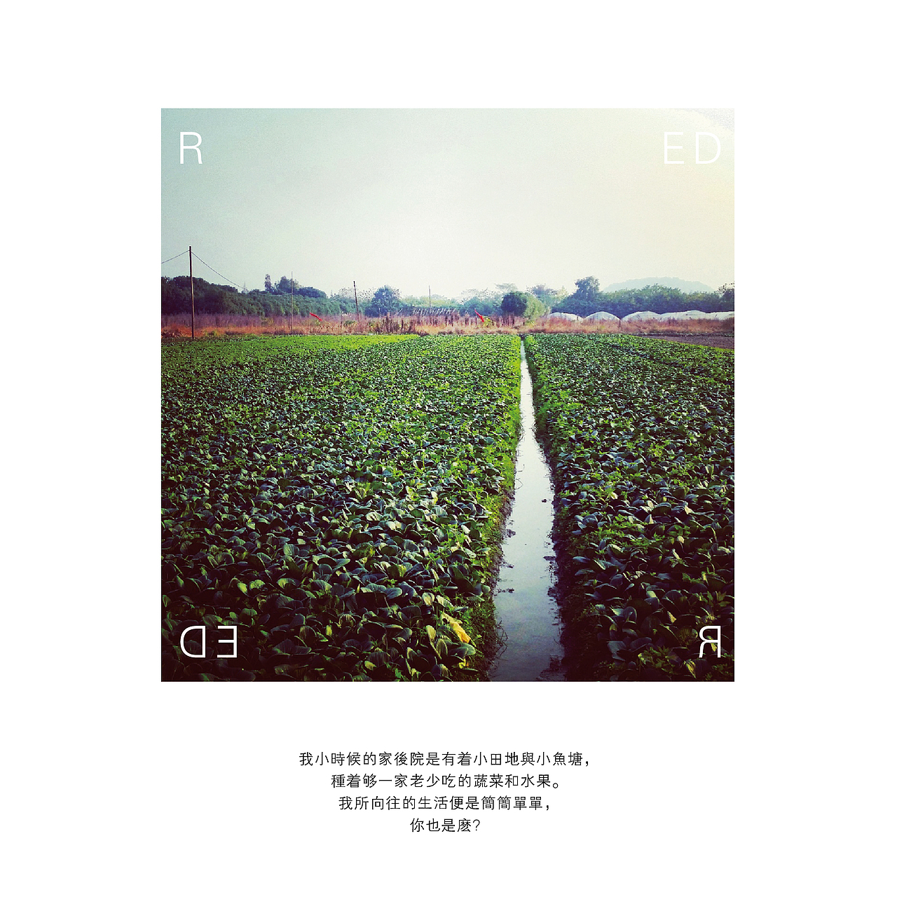 她用手机记录生活