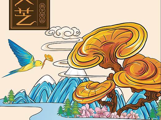 西藏林芝藏三宝 灵芝