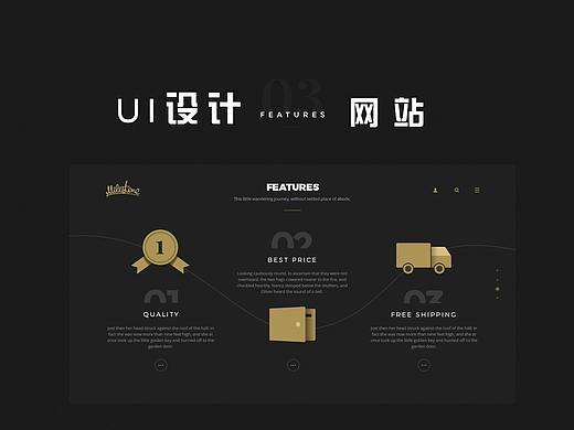 UI设计-ICON设计-网站设计