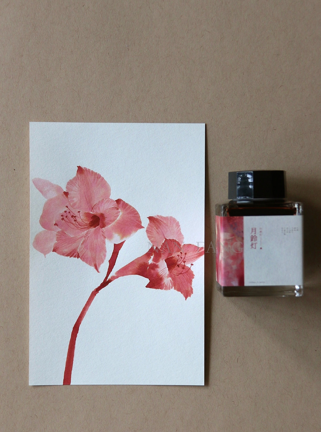 钢笔墨水手绘花卉插画绘画教程头像壁纸水彩教程古风