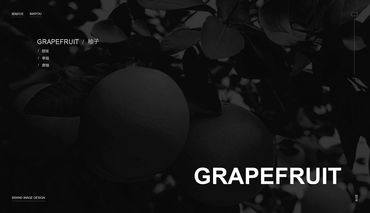 几何案例 | 麦柚科技