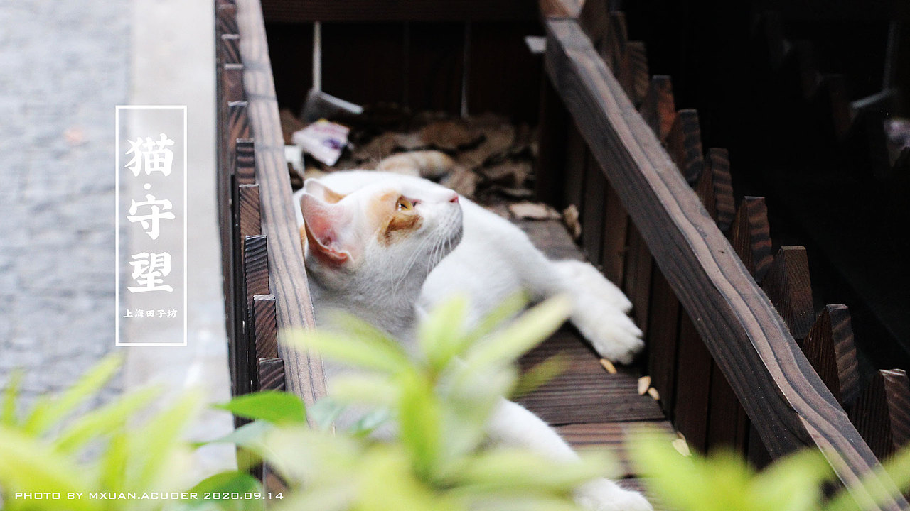 2020下·上海田子坊