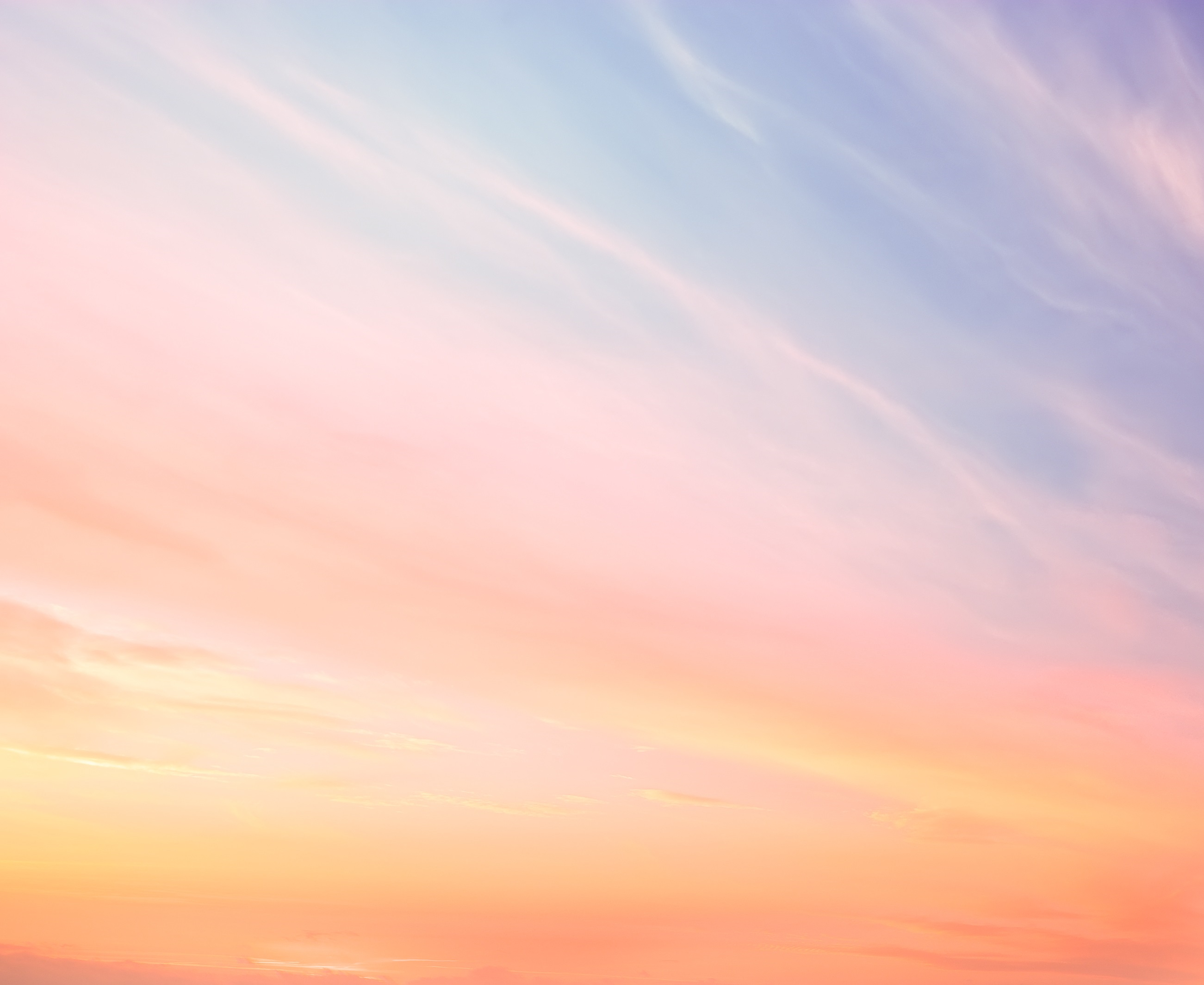 你的猫儿姓梁的个人主页（封面预览） - 主页封面设置 - 站酷设计师你的猫儿姓梁原创素材 - 站酷ZCOOL