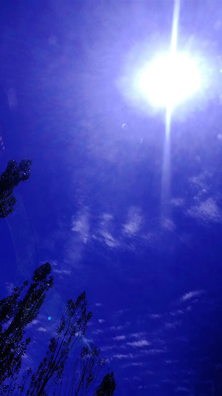 【脑世绘·集(111-120)】