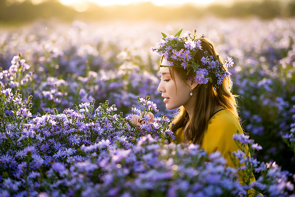 七孔桥花海写真