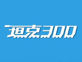 坦克300上市海报