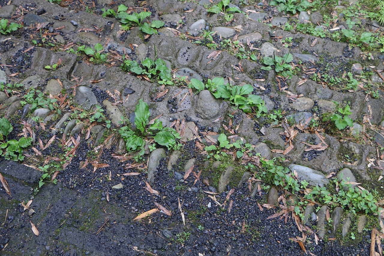 美好惬意的安徽之旅