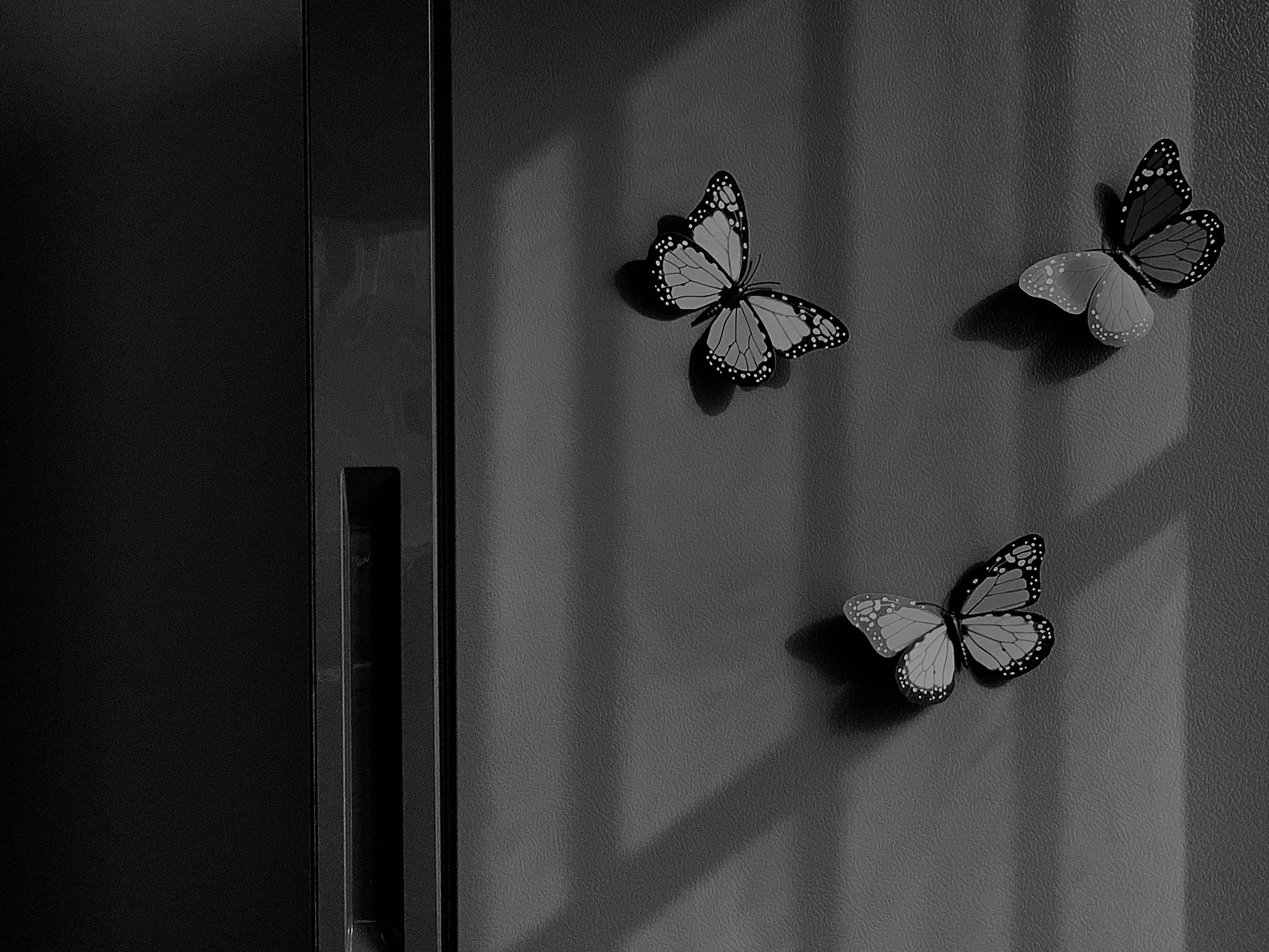 OCT_KEY的个人主页（封面预览） - 主页封面设置 - 站酷设计师OCT_KEY原创素材 - 站酷ZCOOL