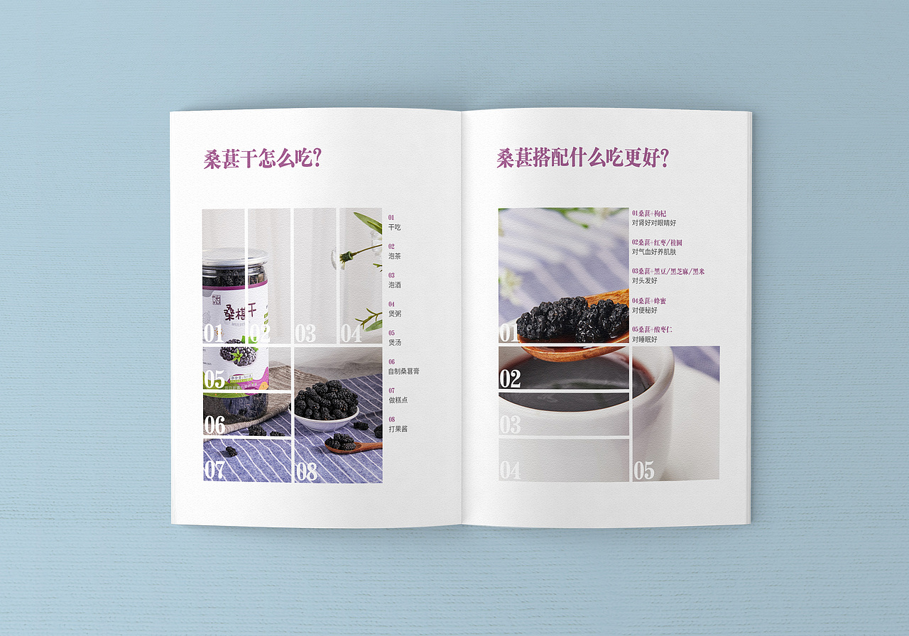 桑葚干的画册（图ZMTYwNDI0MjY4） - 宣传物料 - 站酷设计师范师傅原创素材 - 站酷ZCOOL