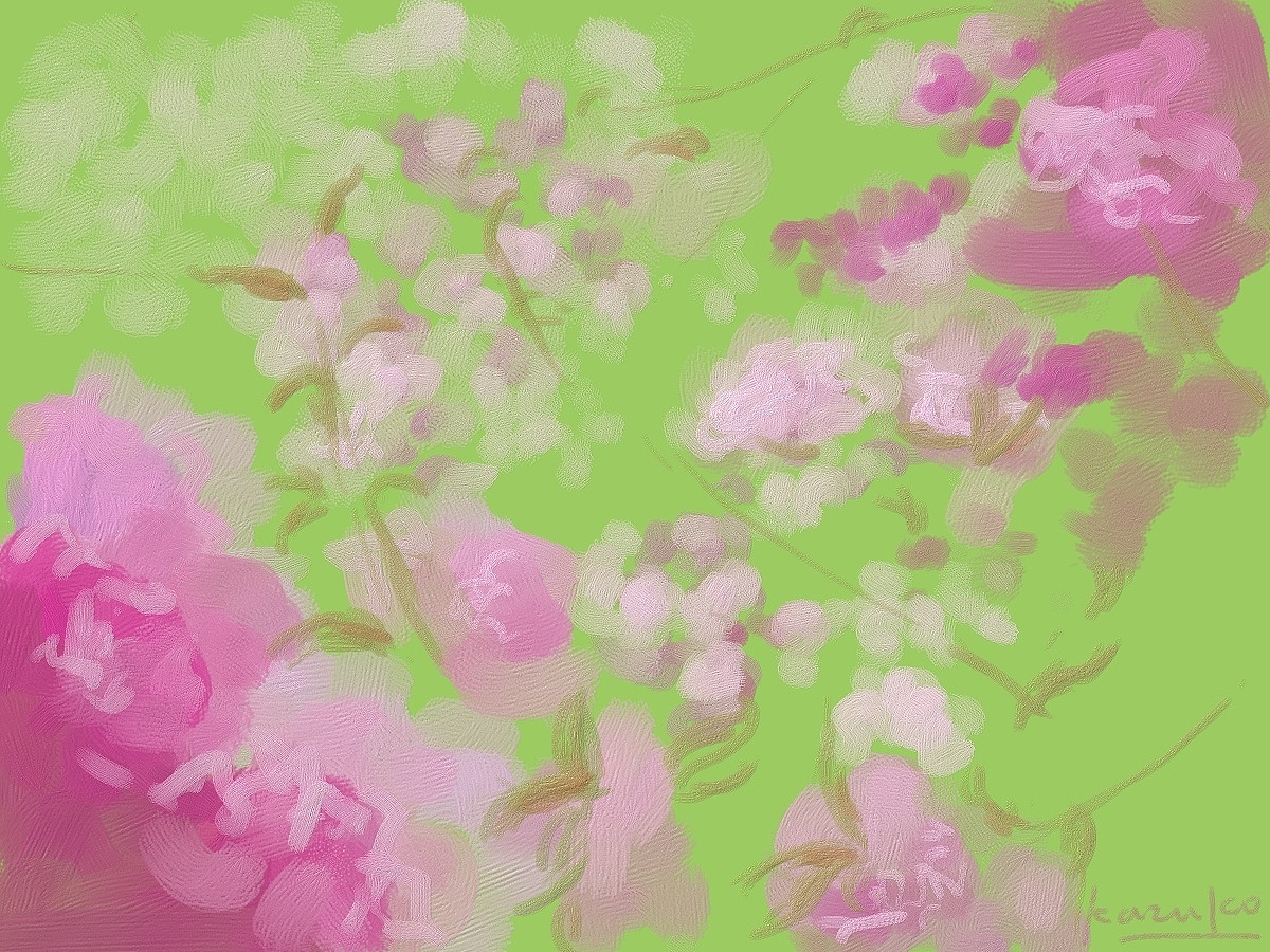 京都之櫻（圖ZMjAyMTQwODky） - 創(chuàng)作習(xí)作 - 站酷設(shè)計(jì)師豆嘰咕kazuko原創(chuàng)素材 - 站酷ZCOOL