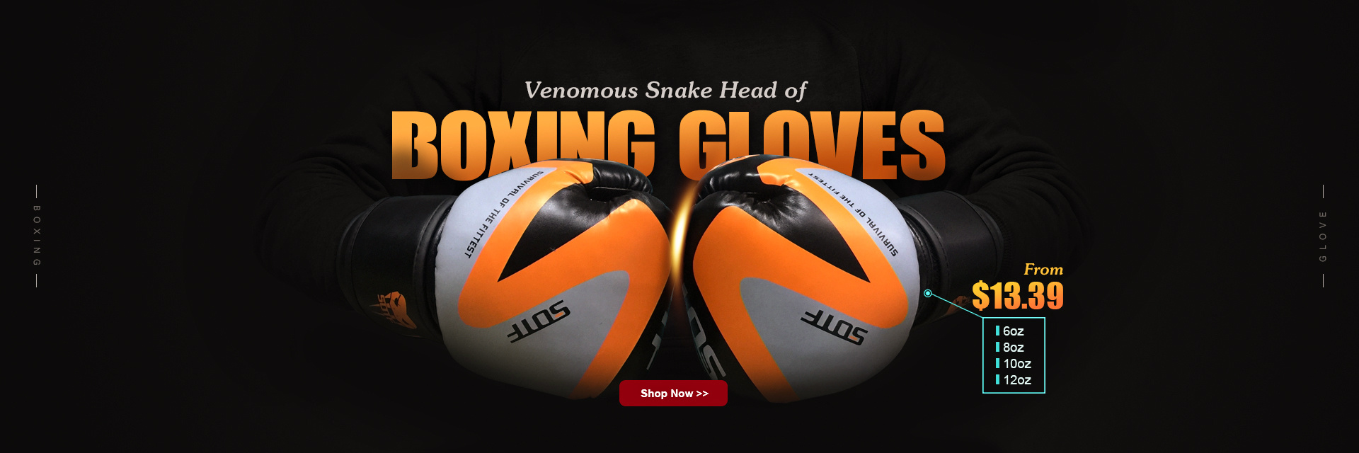 2018年尾拳击手套海报