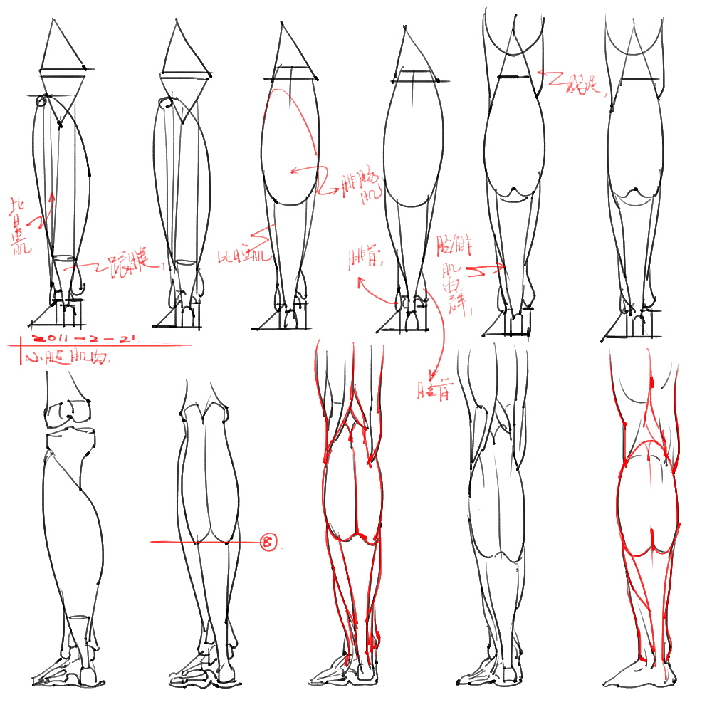 「素材」分享一波绘画专用人体解剖素材 part 05