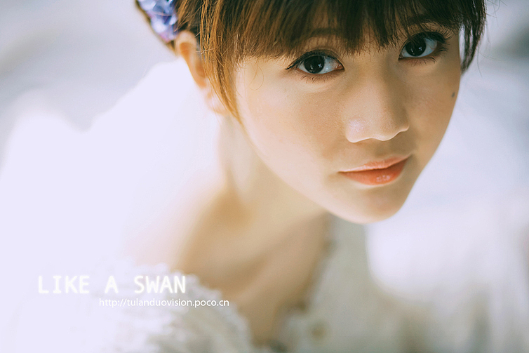 {图兰朵影像}像天鹅一样