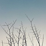 蜗牛不要爱的头像