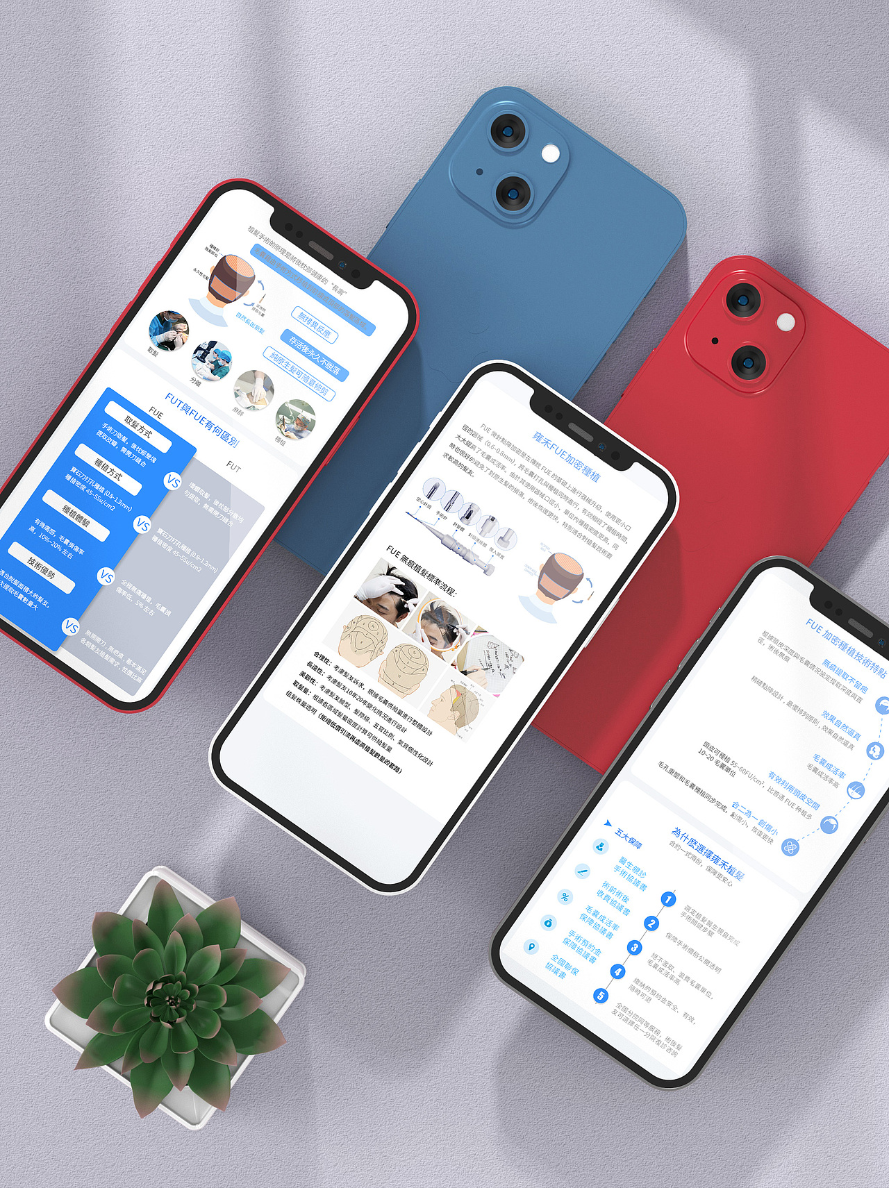 公司详情页（图ZMjg2NTMzNzky） - APP界面 - 站酷设计师南知玉原创素材 - 站酷ZCOOL