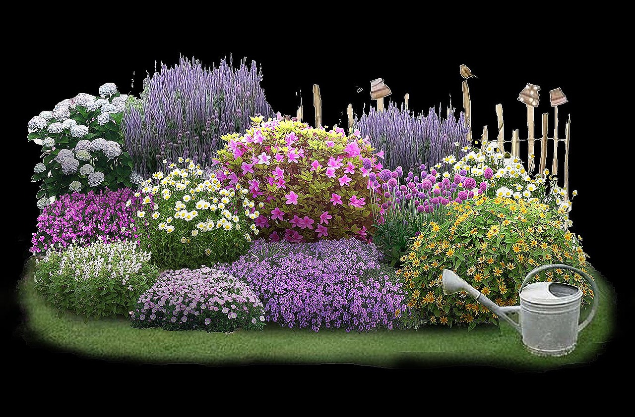 景观效果图的花镜处理