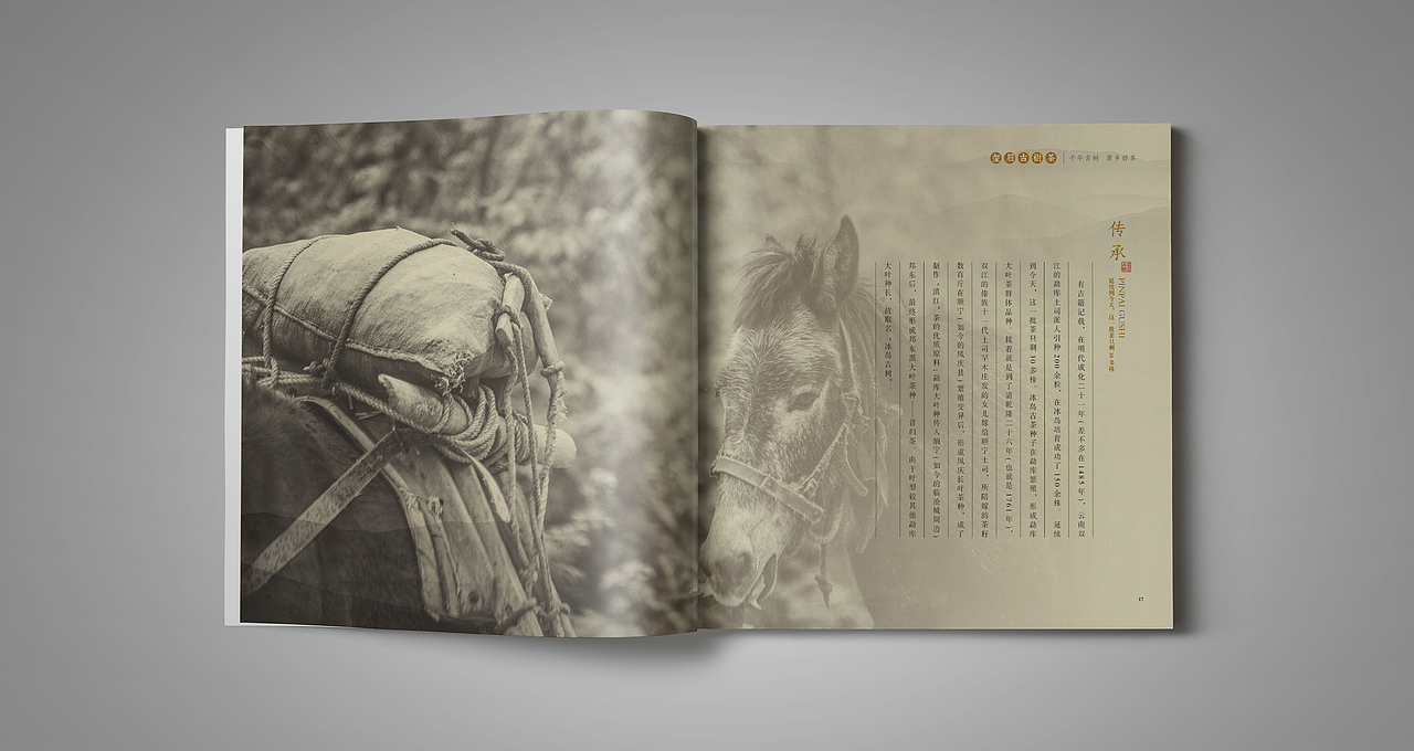 中国风云南茶古典画册（图ZMjk5MjM5OTY=） - 书籍/画册 - 站酷设计师NO香烟味原创素材 - 站酷ZCOOL