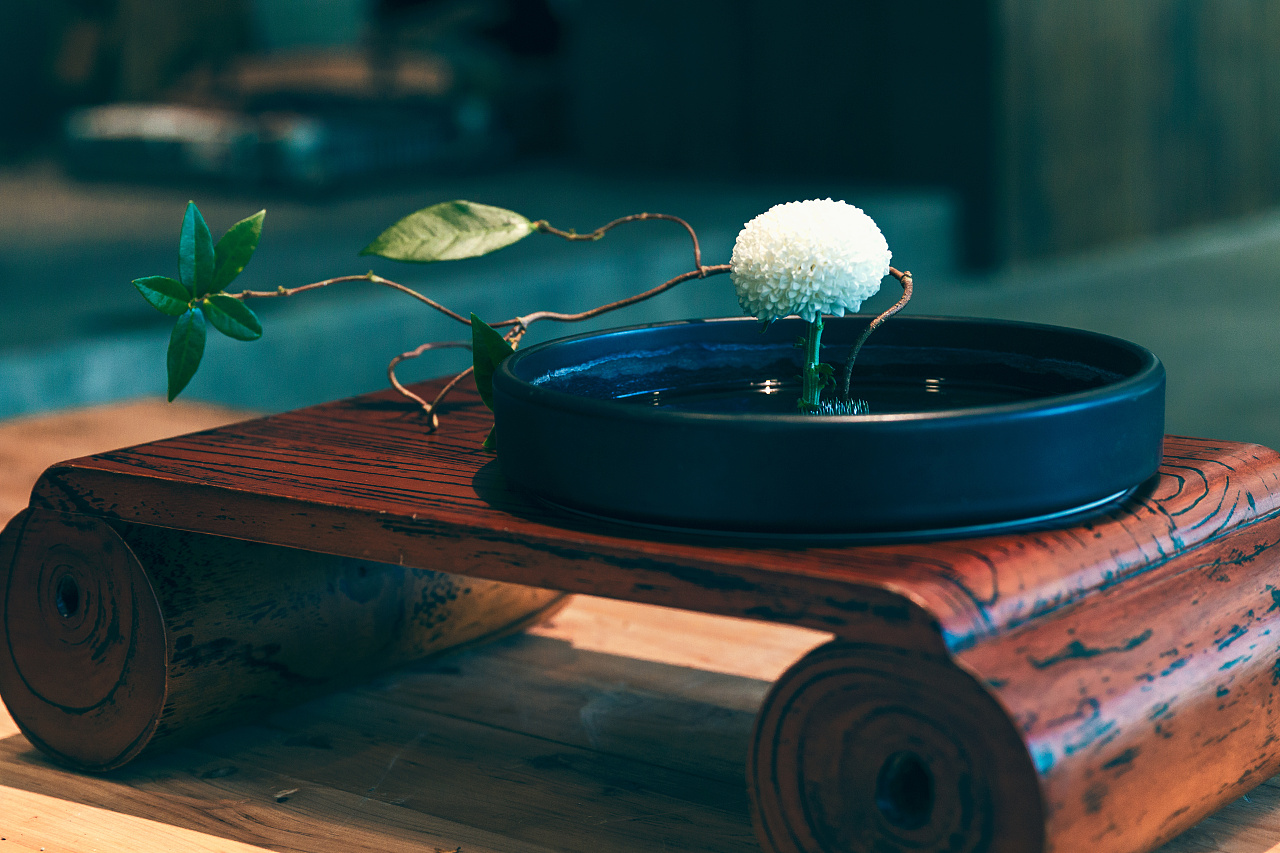 吴少华中式生活美学体验课程·坐忘篇