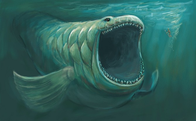 深海恐惧症(临摹)