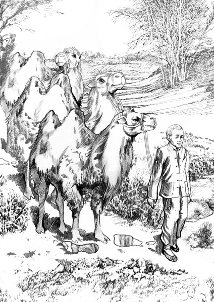 骆驼祥子绘画素材图片