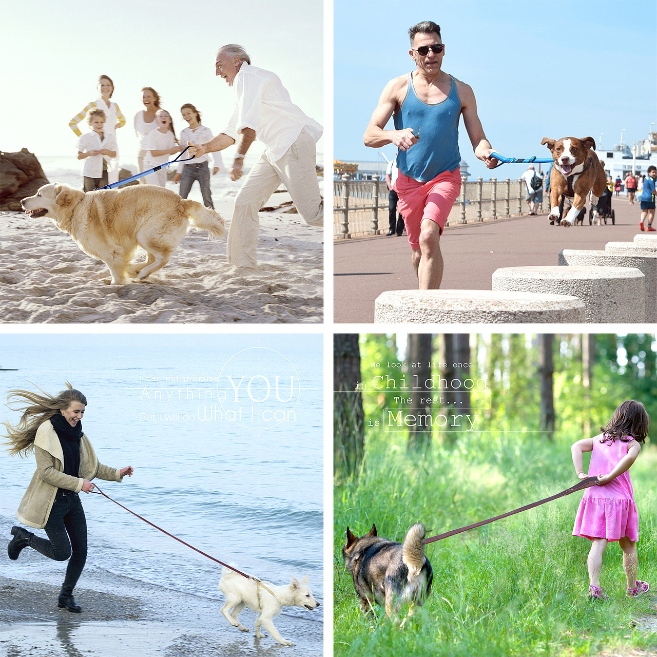 宠物产品场景图合集