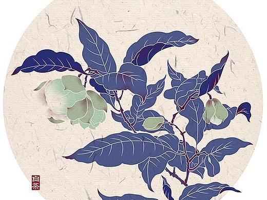 花卉 插画