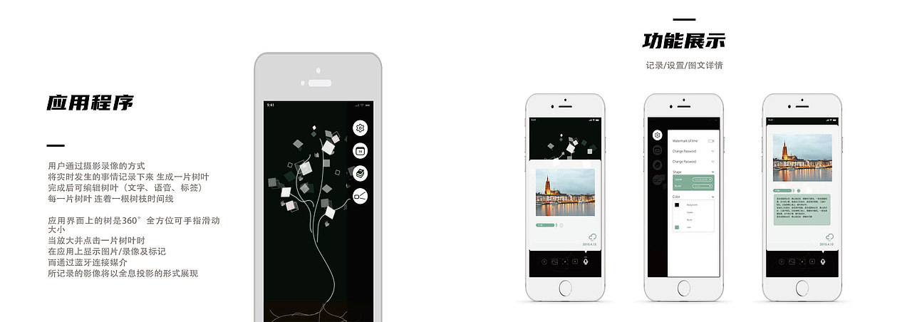 Allan's Portfolio 2019