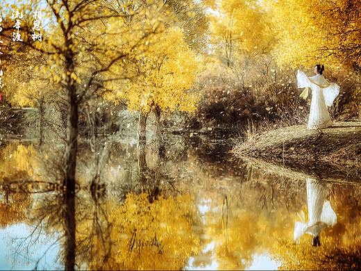 相思树，流年渡，无端又被西风误