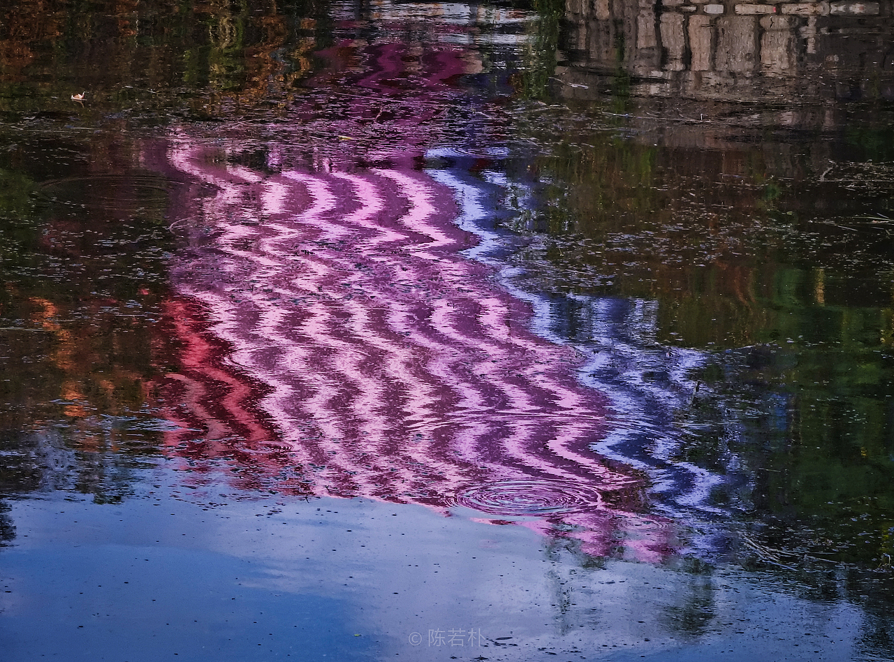 手机摄影|生活色彩