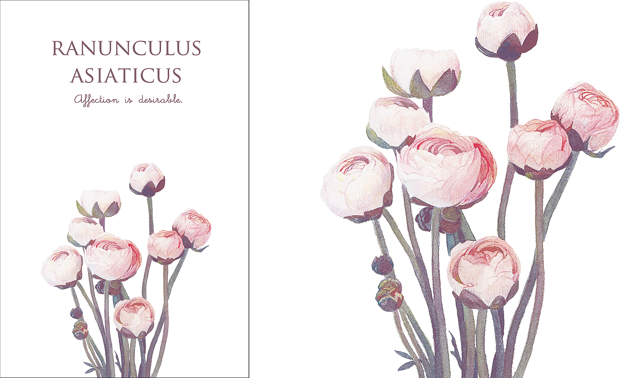 米拉贝尔花园（图ZMTE0OTA0Njgw） - 商业插画 - 站酷设计师邬葱原创素材 - 站酷ZCOOL