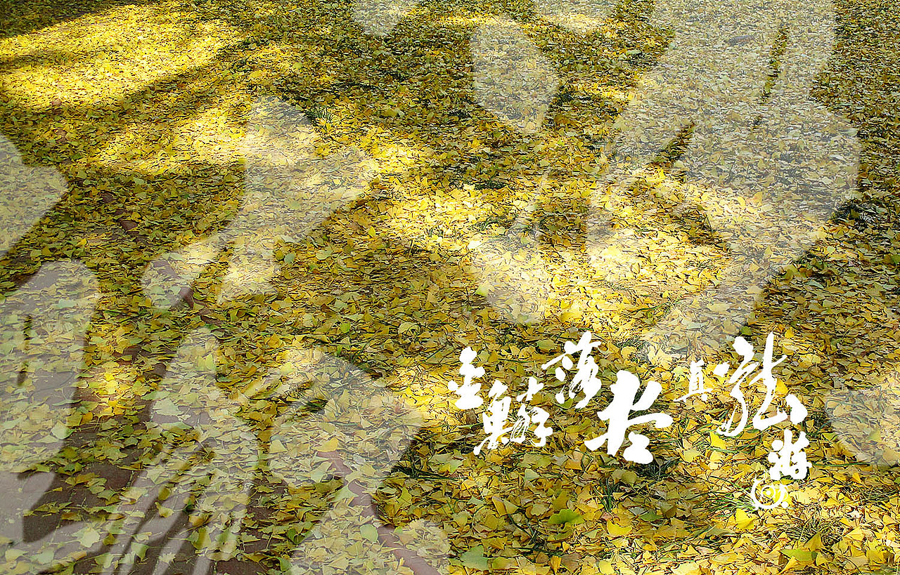 金鳞落尽真龙游 题金黄银杏叶