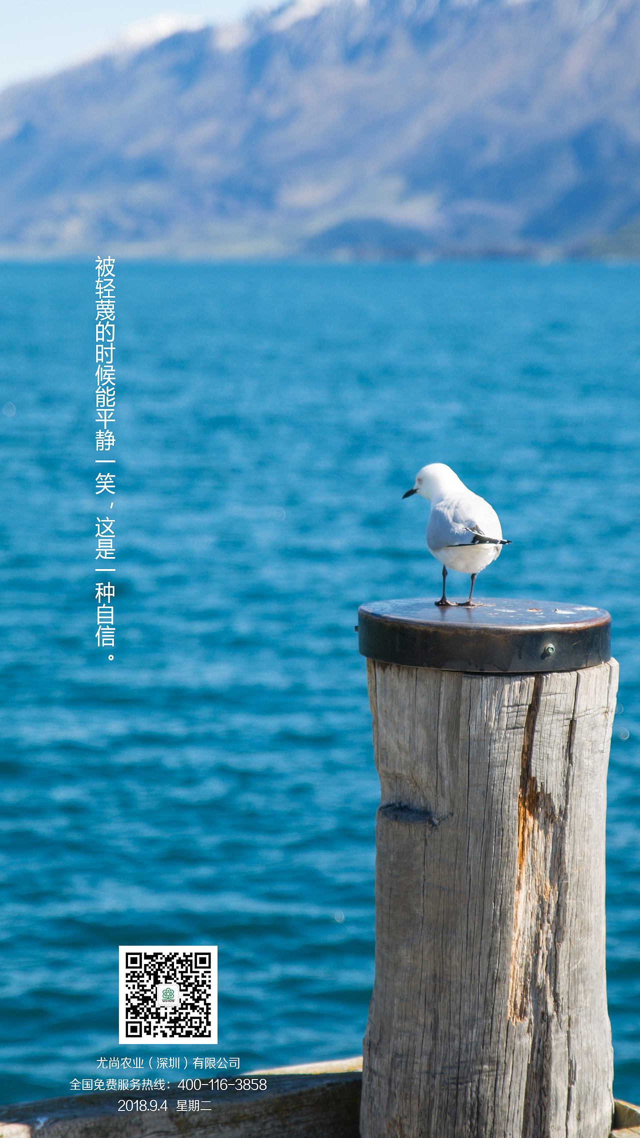 每日励志（图ZMTQyNzYwNDI0） - 宣传物料 - 站酷设计师扫码吗通行证原创素材 - 站酷ZCOOL