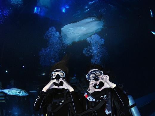 户外潜水玩够了？那就去超酷的室内潜水池吧！