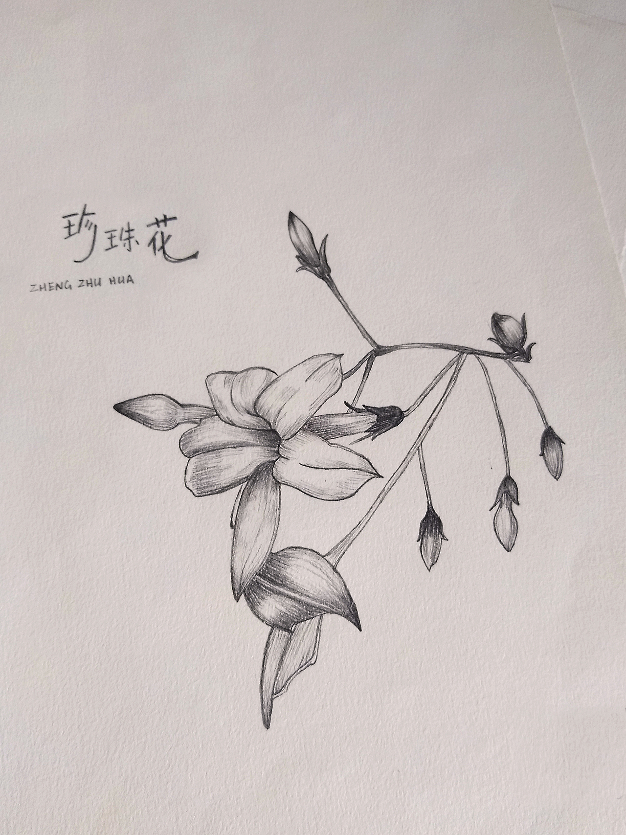 花之意（图ZMTI2MDE5NjMy） - 创作习作 - 站酷设计师星北世界原创素材 - 站酷ZCOOL